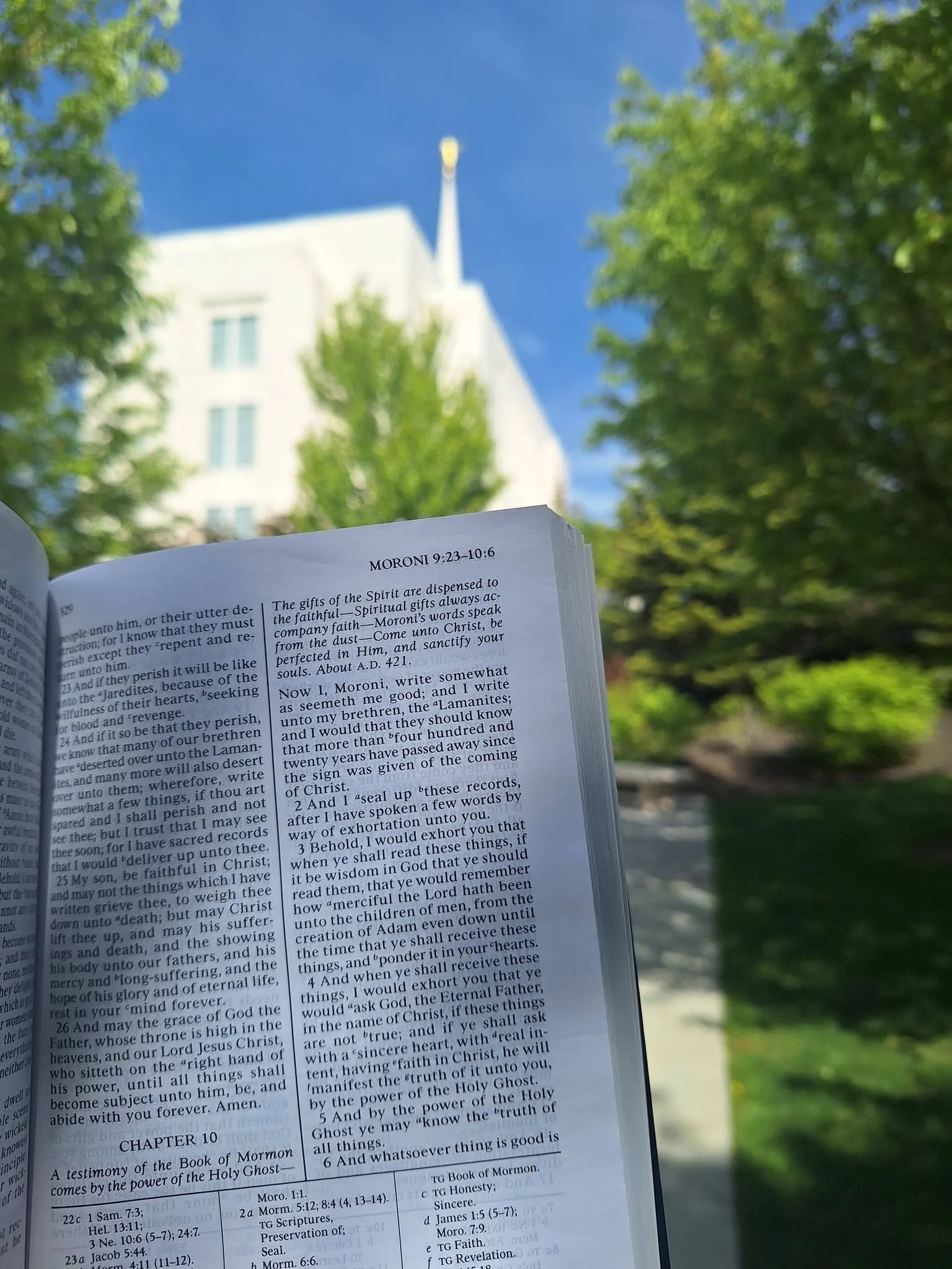 An open Book of Mormon held up in front of a white temple and green trees