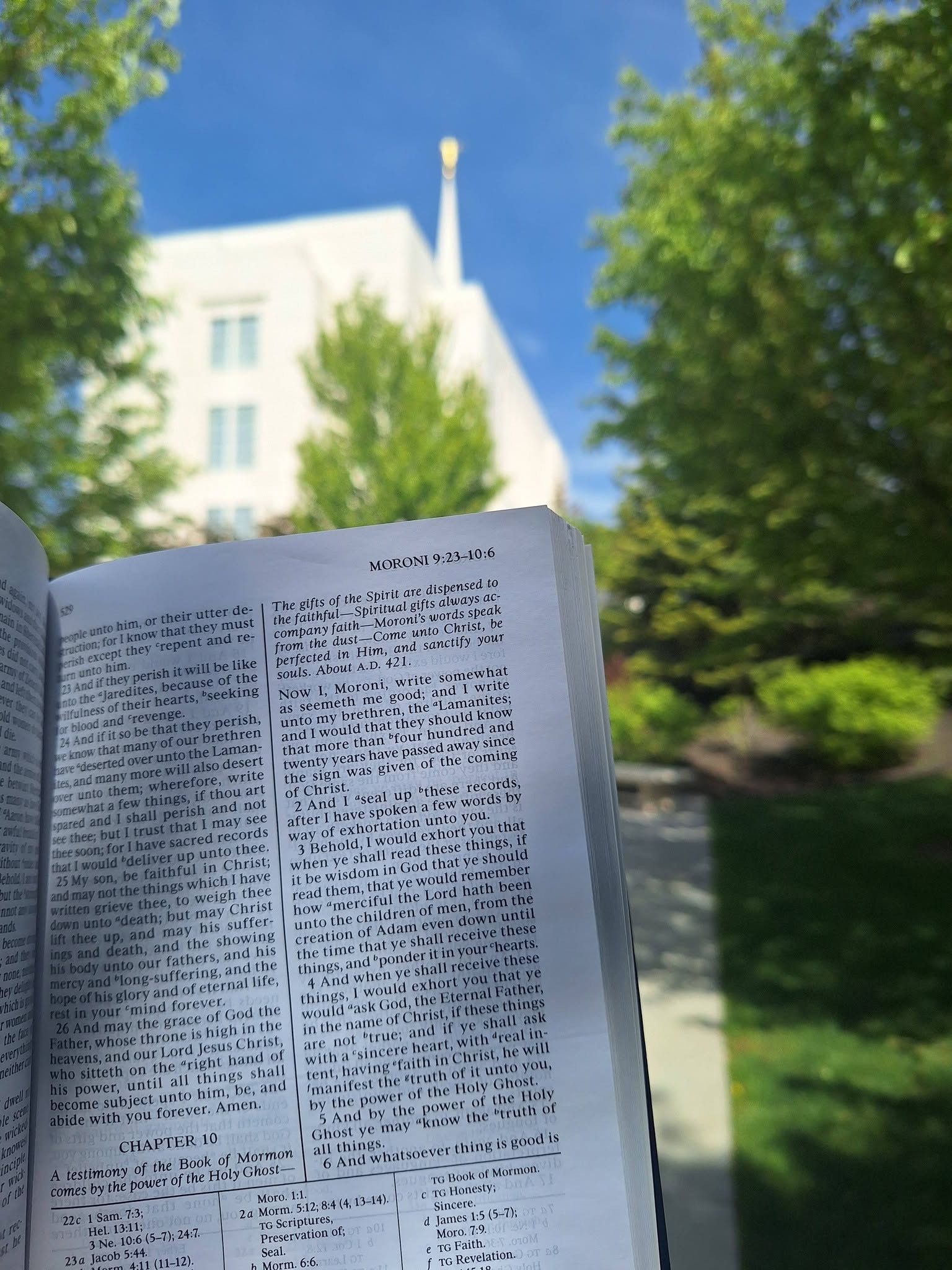An open Book of Mormon held up in front of a white temple and green trees