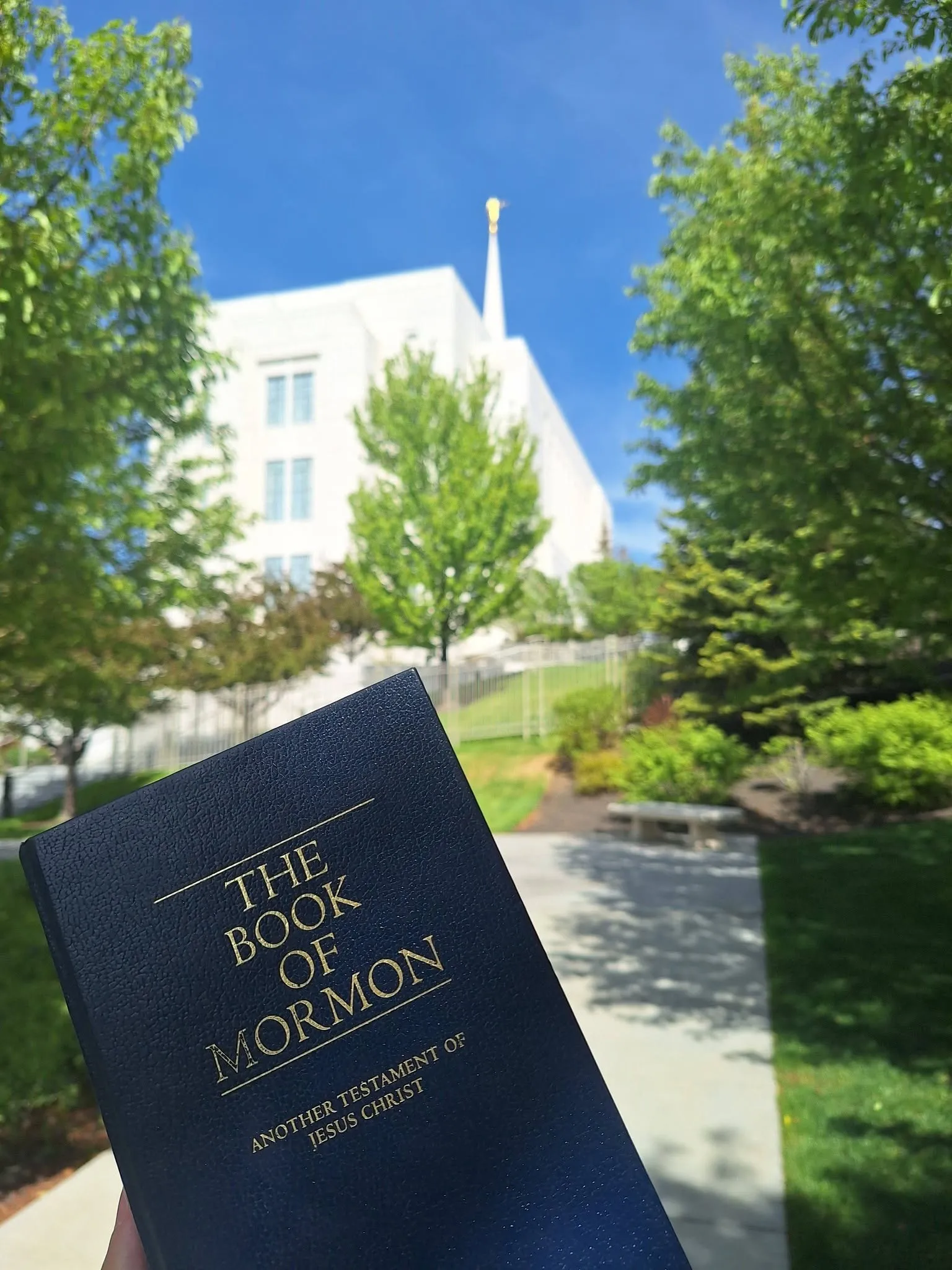A navy Book of Mormon held up in front of a white temple on a sunny day