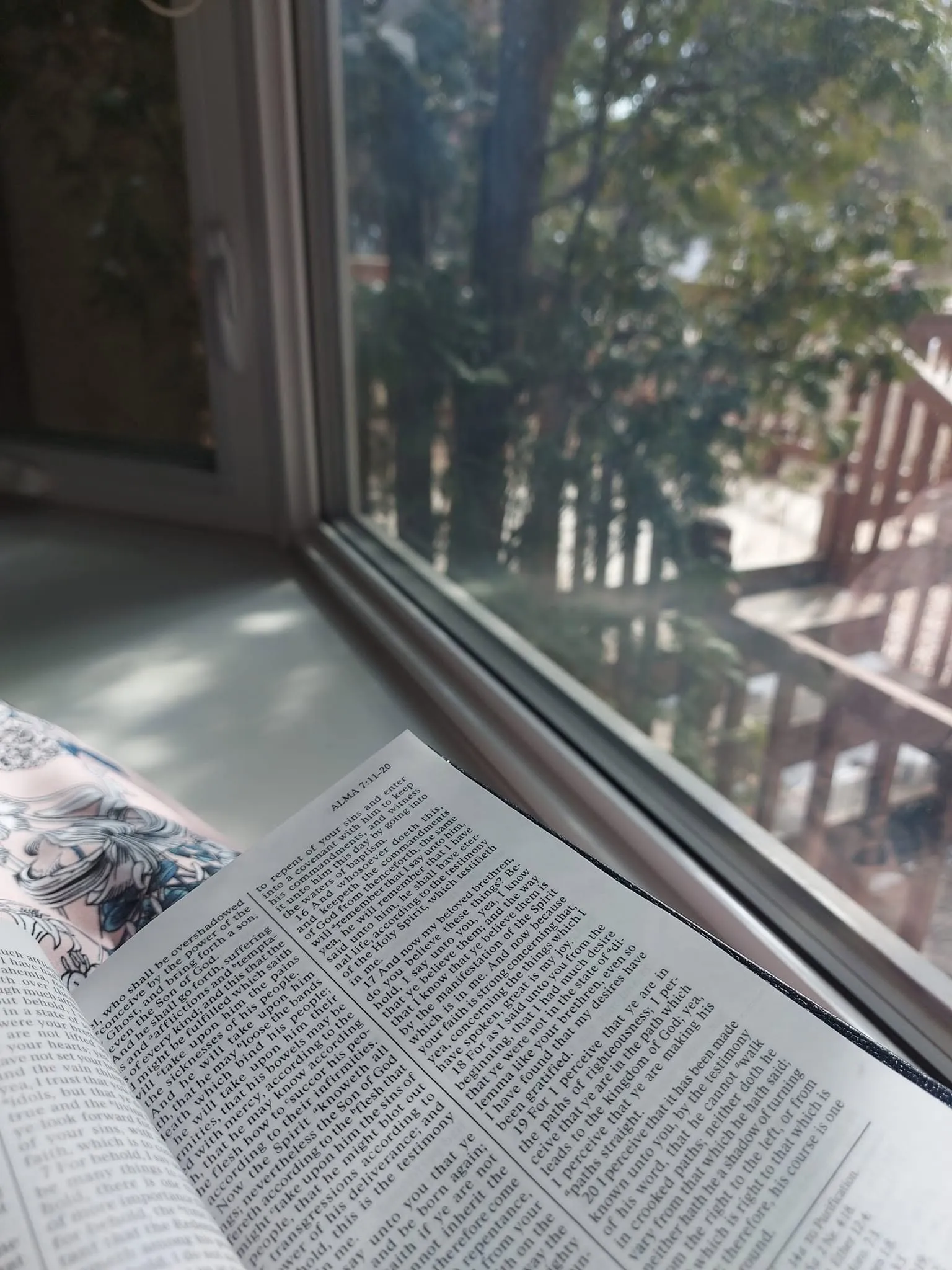 Open scriptures resting on a sunny windowsill with trees outside